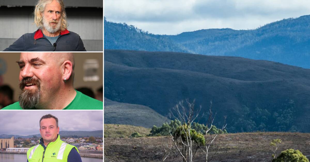 Tassie's forgotten wind farm progressing as Robbins Island hogs headlines