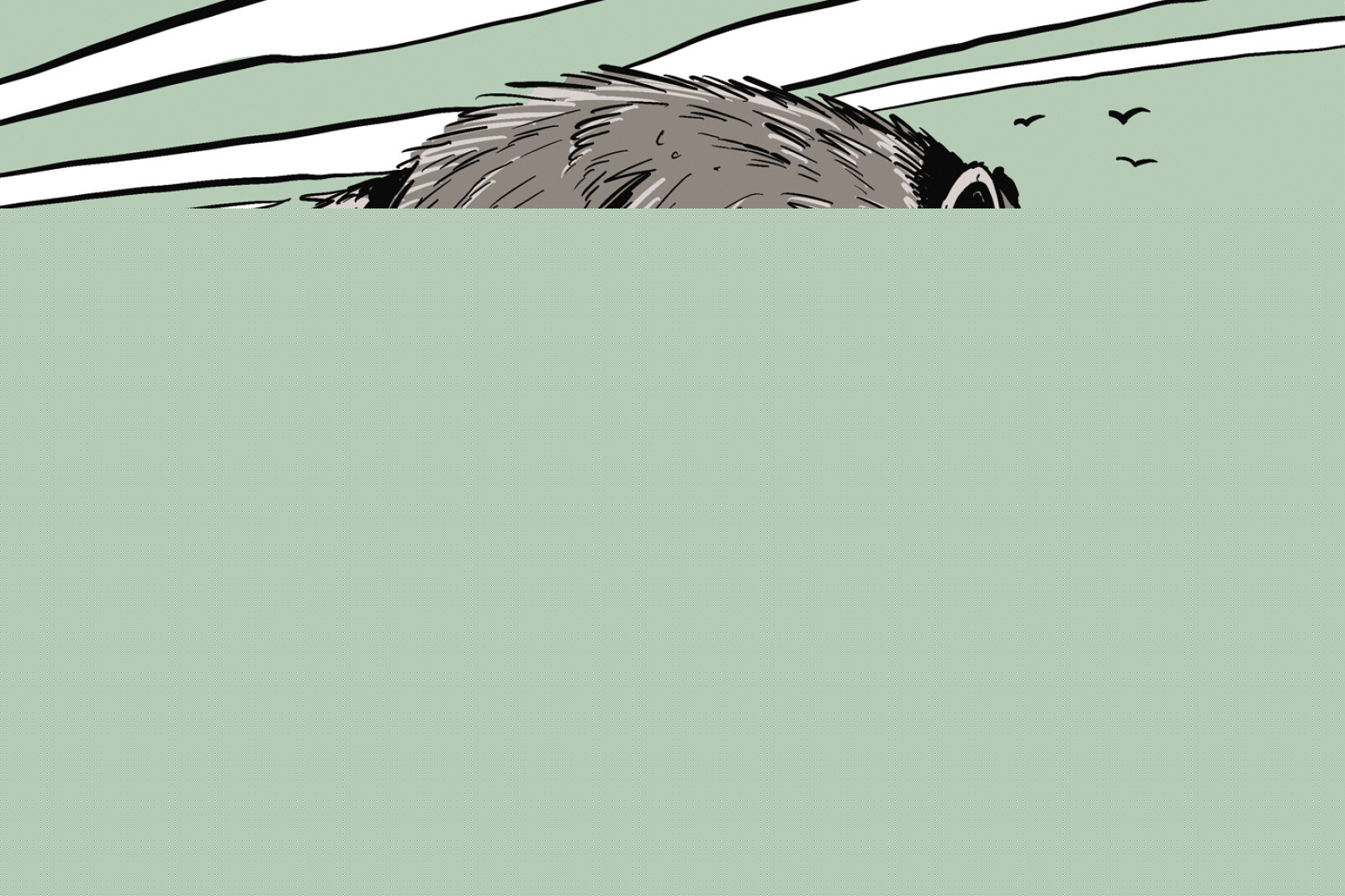 Who is Jimothy, the viral raccoon?