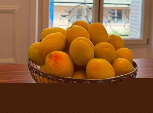 Armenian apricots reach stores in Paris, nearby cities