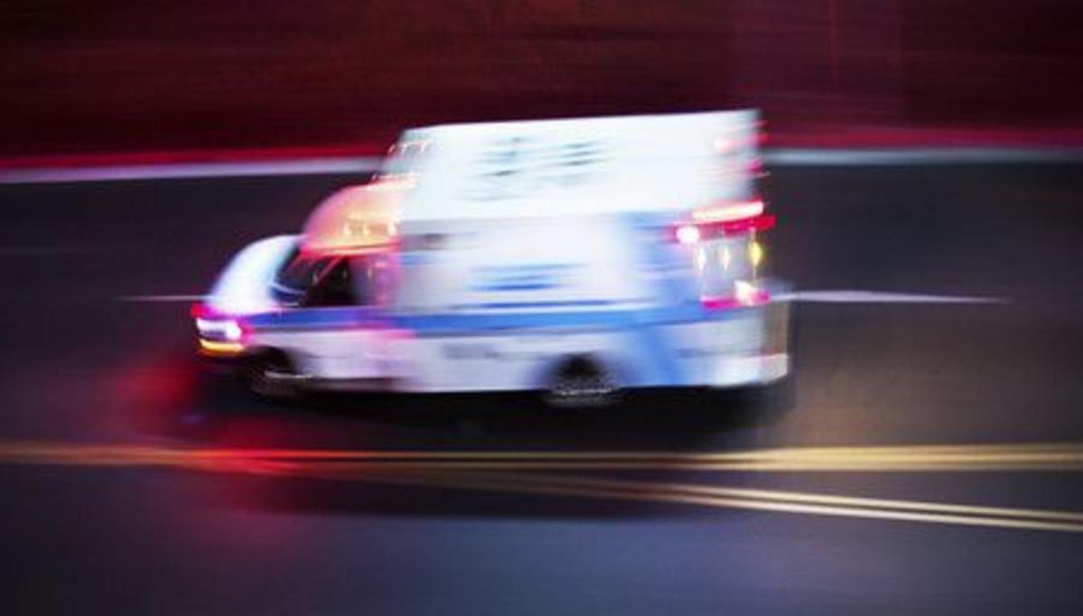 Police Say Driver With No License Hit Amish Buggy On NY Road
