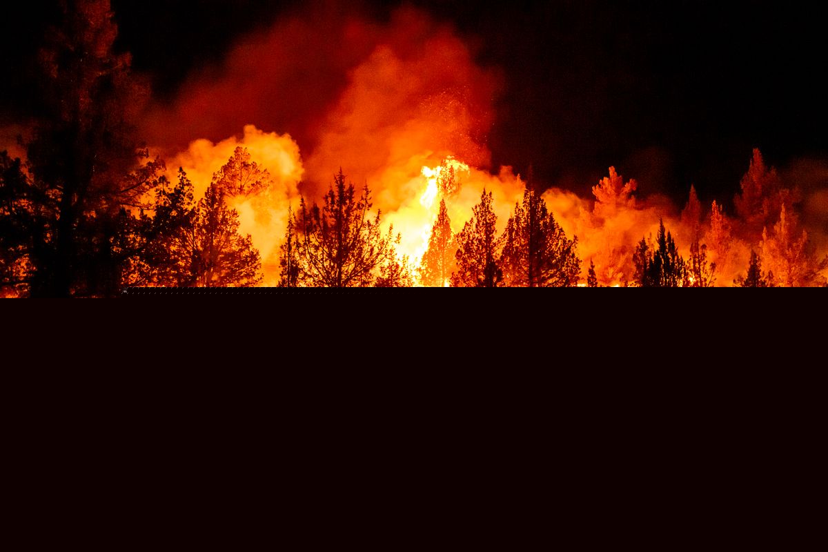 Wildfires are more extreme in Europe and North America, but global burning is oddly decreasing