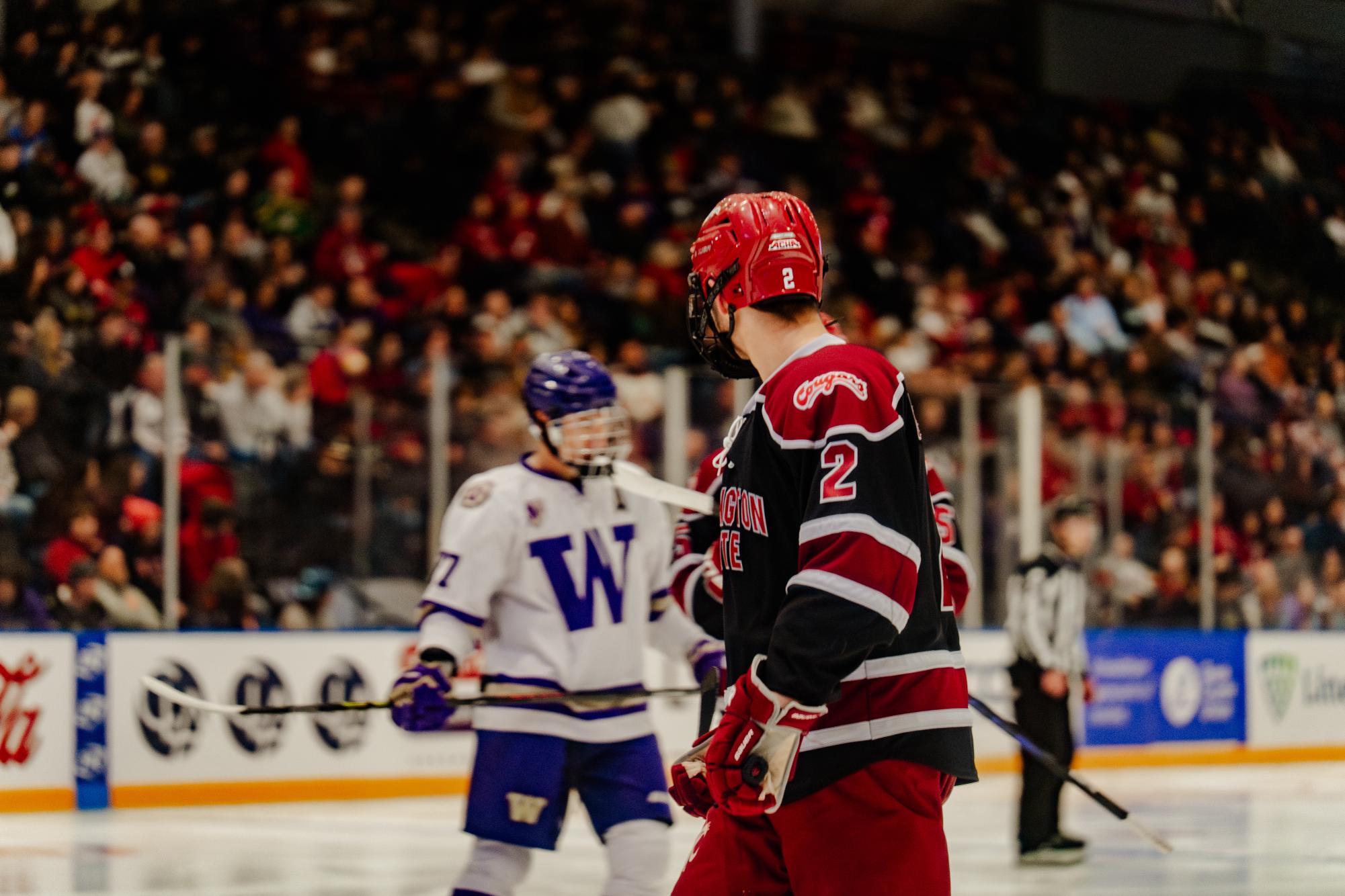 David Bushkin: The “Freshman Phenom” turning heads