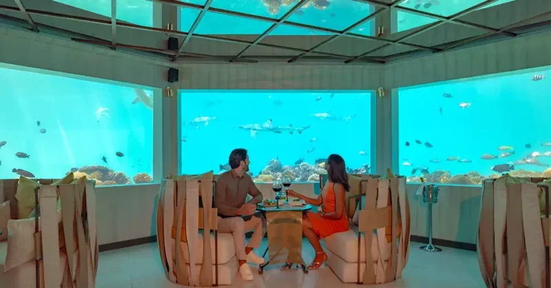 Sipping Back and Into the Future at OZEN LIFE MAADHOO