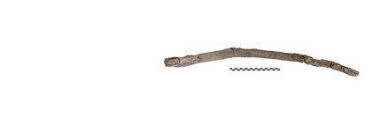 430,000-Year-Old Wooden Tools Found in Greece