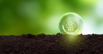 Carbon market analysis: Are soil-based credits better than forestry offsets?