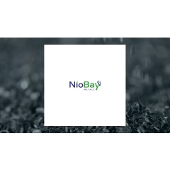 Niobay Metals (CVE:NBY)  Shares Down 13.3%   – Time to Sell?