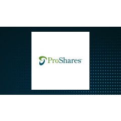 ProShares UltraShort Russell 2000 (NYSEARCA:TWM) Short Interest Up 548.4% in January
