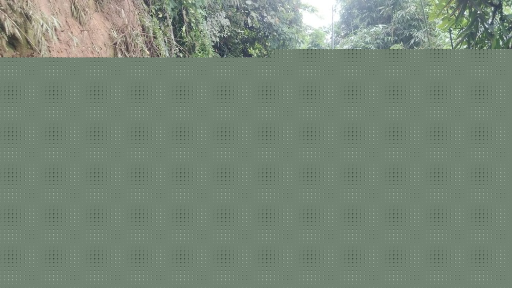 Heavy rain triggers road subsidence, landslides in Bhandari area