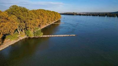 Rhine Water Levels Fall to New Lows Amidst Heatwave