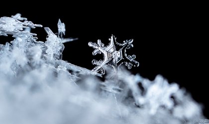 Archdiocesan Philadelphia Schools Issue Update for Jan. 29