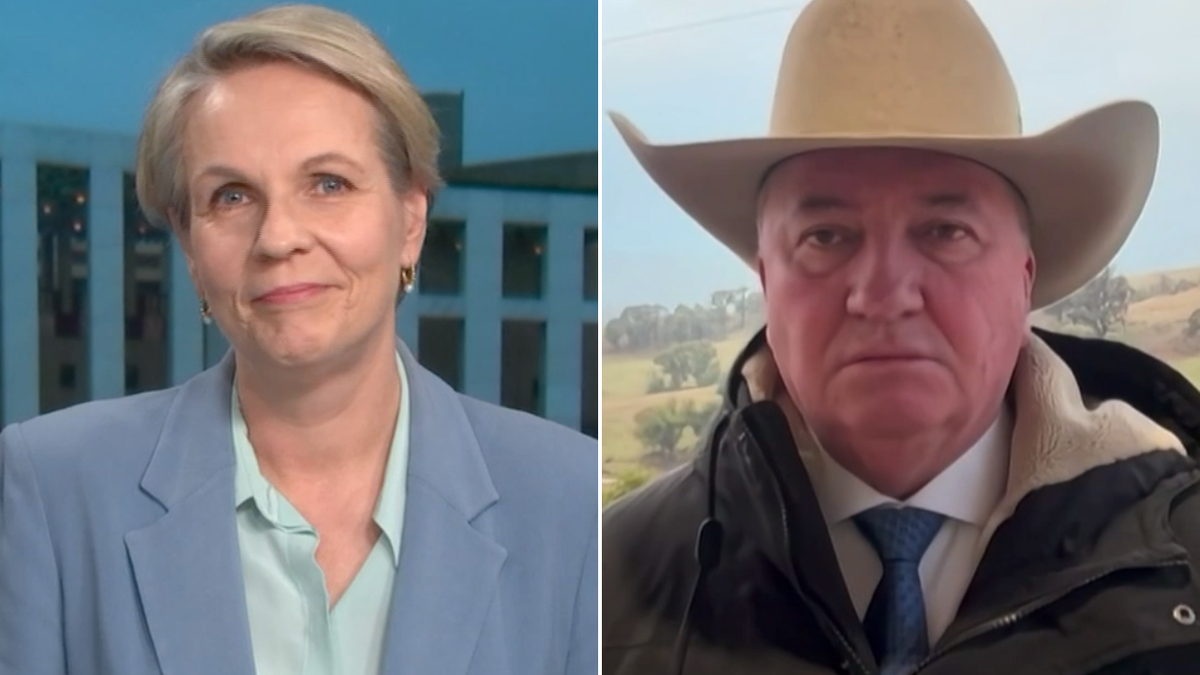 ‘It takes a while for people to catch up’: Plibersek downplays Labor’s lowest primary vote poll since Gillard era