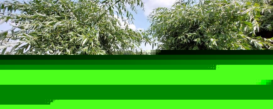Meer hagen, houtwallen en poelen in het Utrechtse landschap