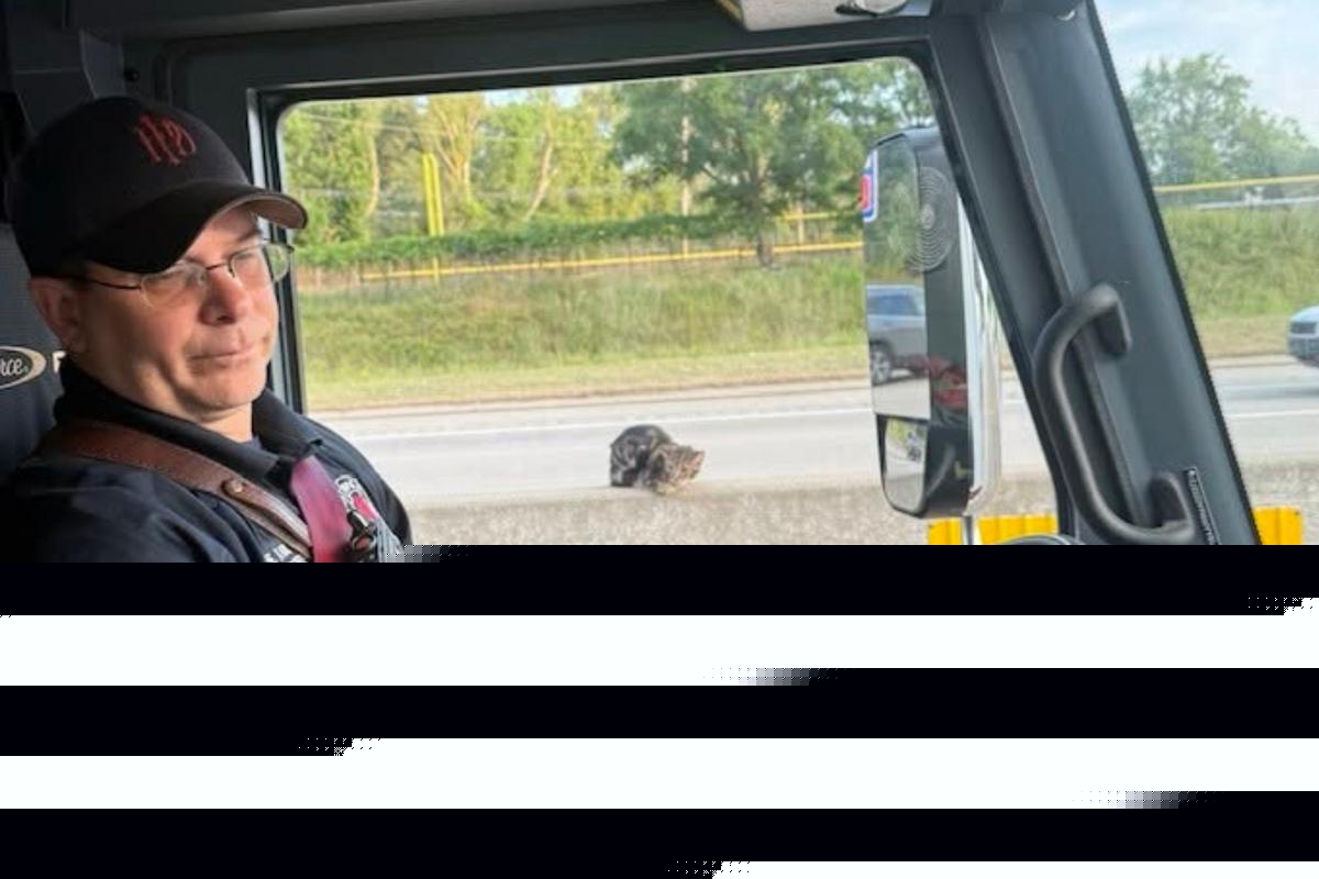 Portage PD Rescues Scared Cat From Highway Median