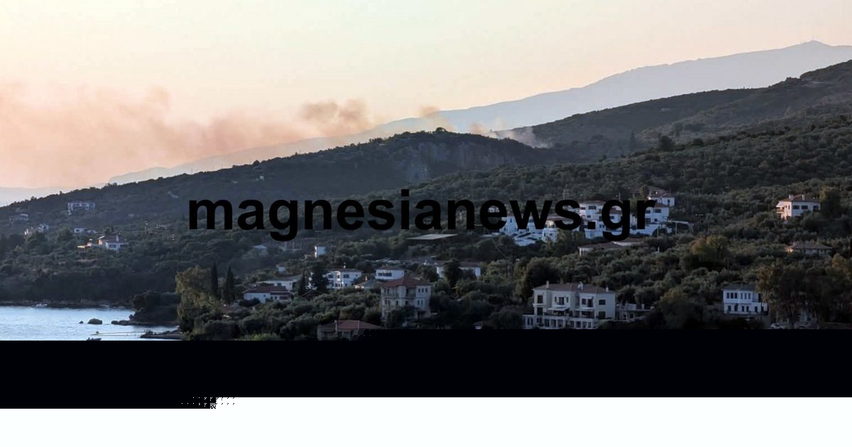 Οριοθετήθηκε η φωτιά σε αγροτοδασική έκταση στην Πάου Νοτίου Πηλίου -Σηκώθηκαν 4 εναέρια, εστάλη 112 για ετοιμότητα