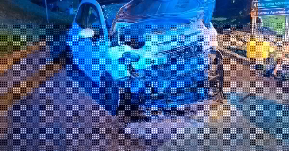 Lenkerin flüchtete - Fahrzeug ging nach Alko-Unfall in Flammen auf