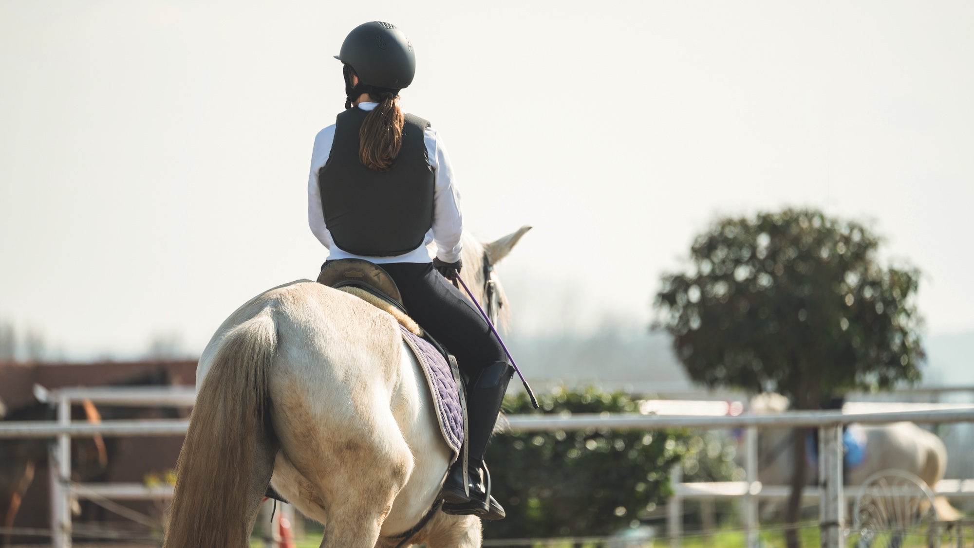 New whip use guide aims to start conversations and improve horse-human relationship