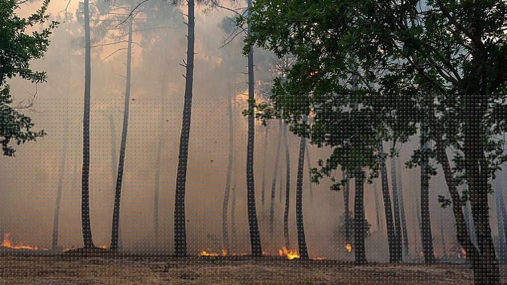 Evacuations ordered in Bordeaux suburbs as wildfires continue to ravage southern Europe