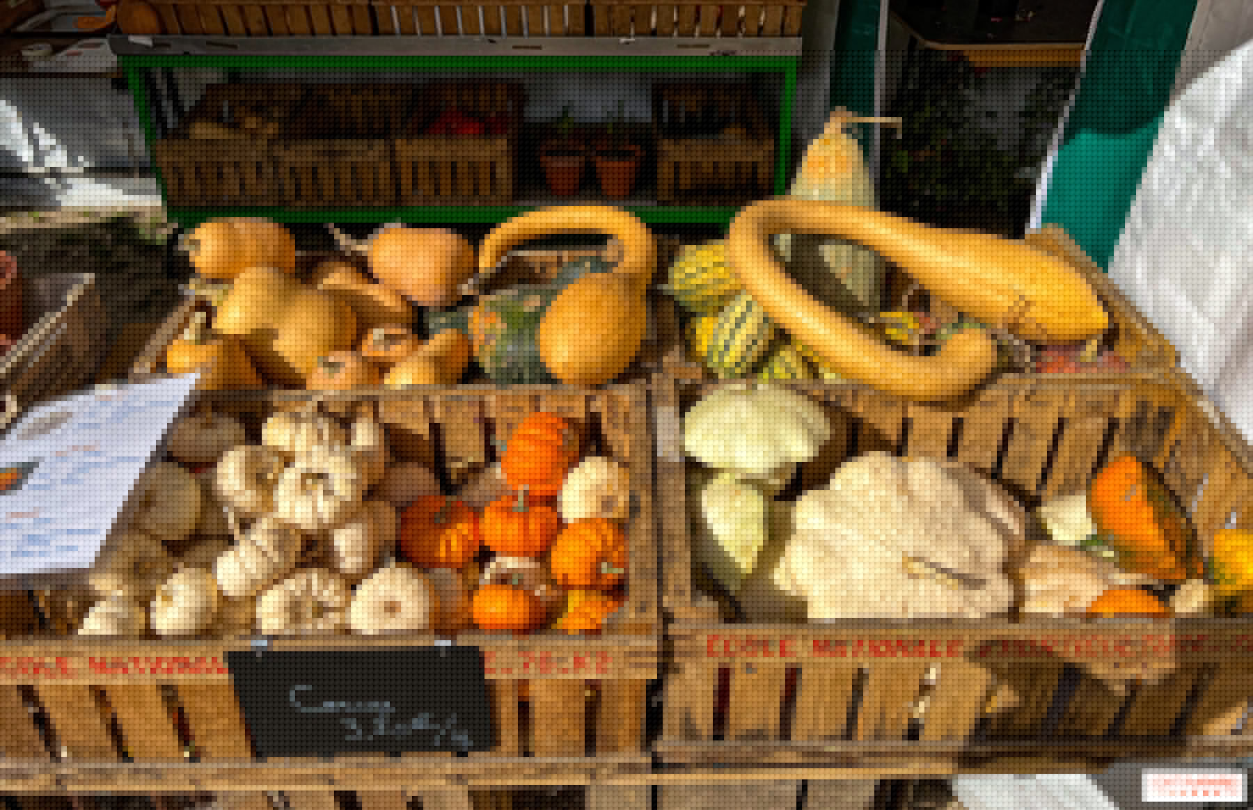 Quels fruits, légumes et herbes récolter dans les cueillettes d'Île-de-France, cet hiver ?