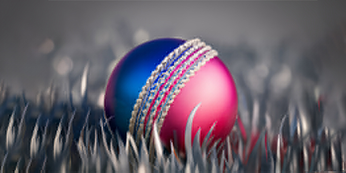 Ja’Shay Trott Takes Wicket In Americas Defeat