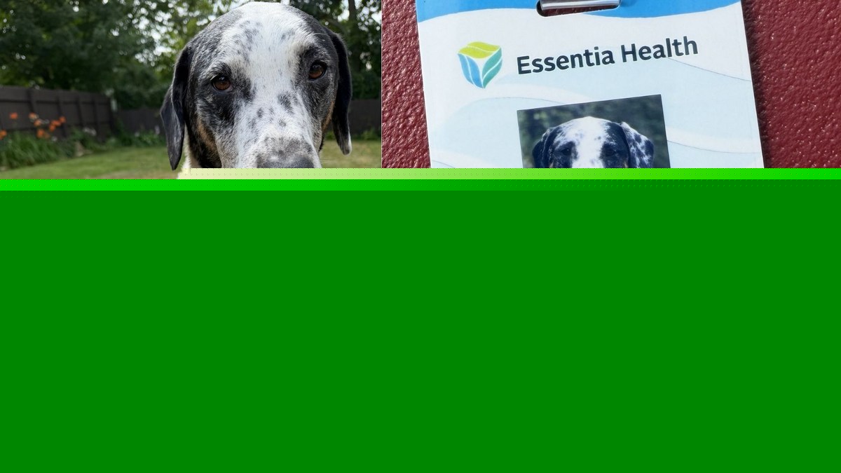 Minnesota’s Essentia Health Now Looking For Pet Therapy Teams