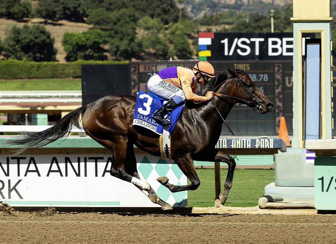 Beholder’s Daughter Tamara Back In A Big Way, Romps In The Chillingworth
