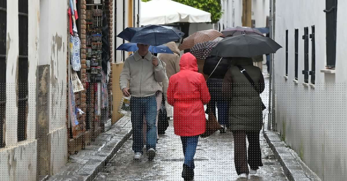 Una crisis de "magnitud considerable" para Córdoba: cifran en 100 millones el impacto de la interrupción del tren y las tormentas