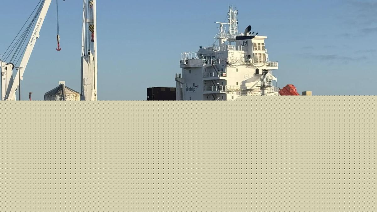 Worker killed by falling metal beam on ship at Mackay harbour