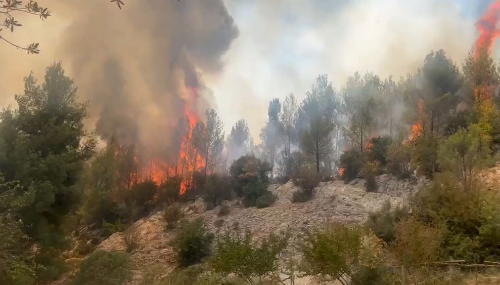 VIDEO/ S’ka paqe për Krujën! Sërish zjarr në lagjen Bojë, flakët përhapen me shpejtësi