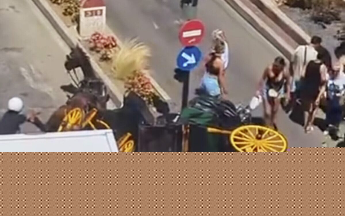 Horse-drawn carriage overturns in busy Fuengirola square after horse bolts, leaving two women injured