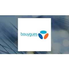 Reviewing Bouygues (OTCMKTS:BOUYF) and ScanSource (NASDAQ:SCSC)