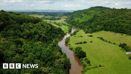 'Collapsing wildlife and polluted rivers now a life or death issue'