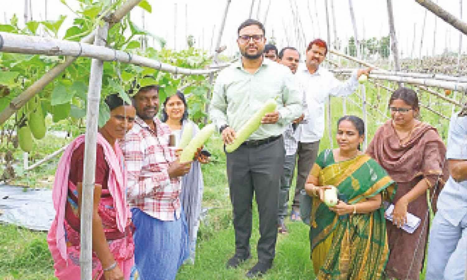 Farmers told to shift to water-efficient crops