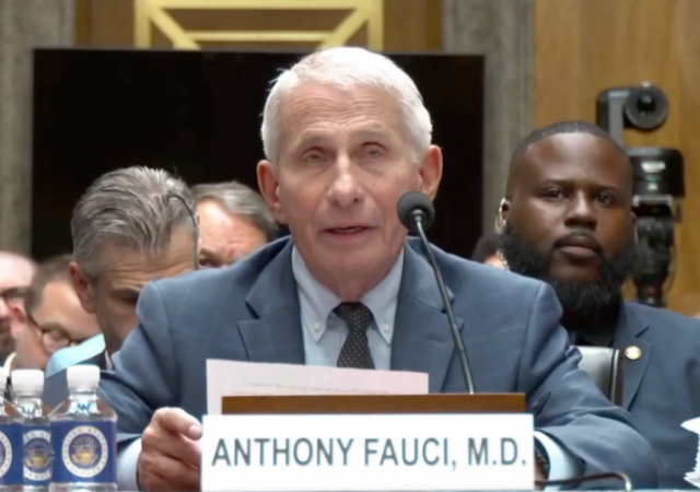 Comment on Fauci Invokes 5th Amendment, Declines to Testify in Senate Hearing by Spike3