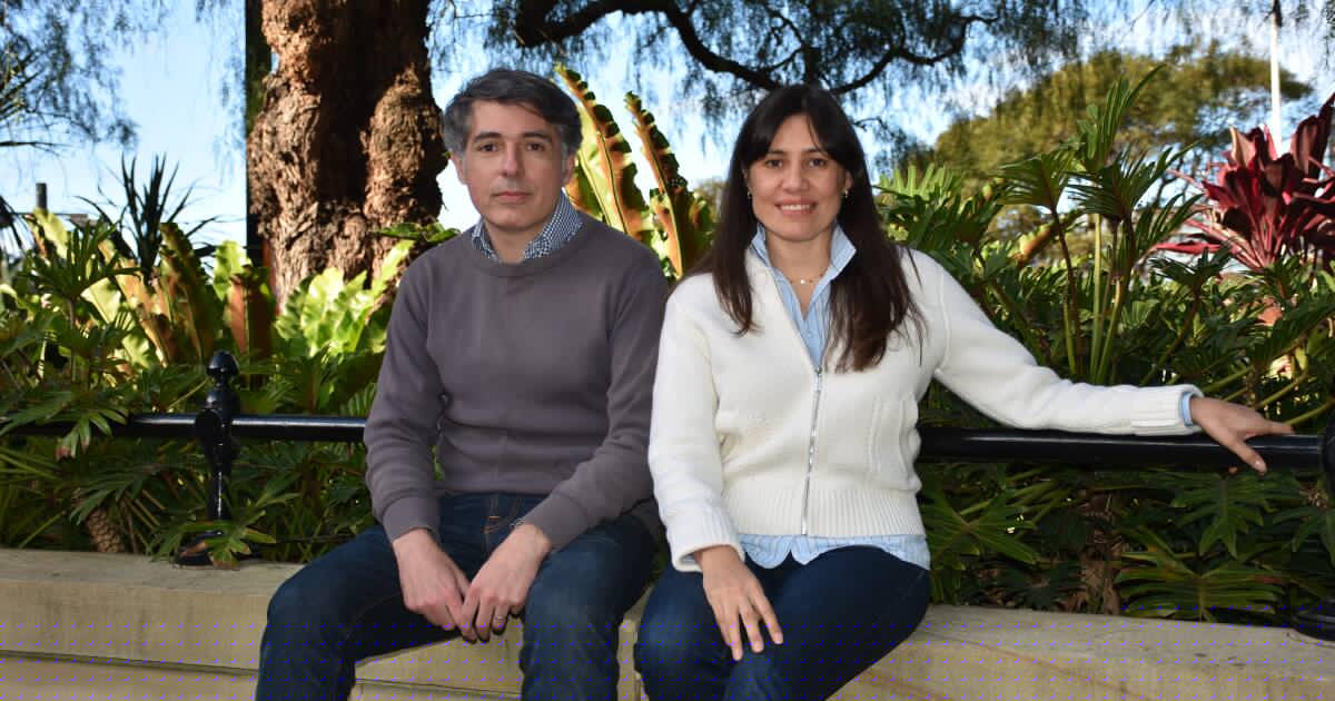 Elders partners up with AI tech promising 'near-perfect agricultural forecasts'