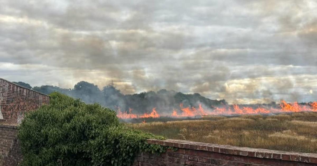 Popular playpark evacuated after fire breaks out in field, reaching boundary wall
