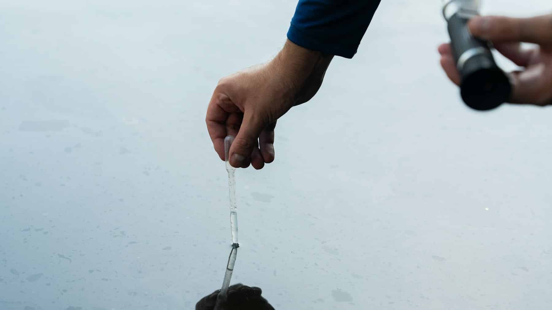 Las 3 claves del trabajo científico para mejorar la calidad del agua en Florida