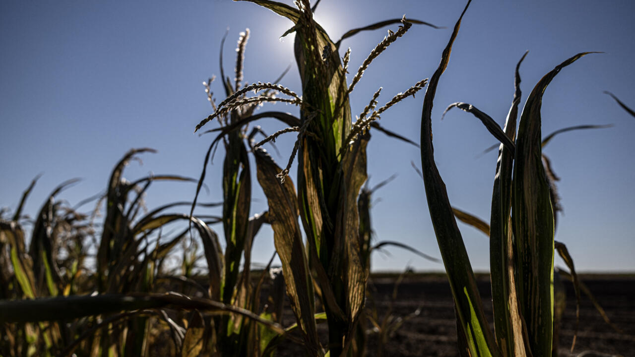 Vingt-deux départements placés en vigilance orange canicule lundi, selon Météo-France