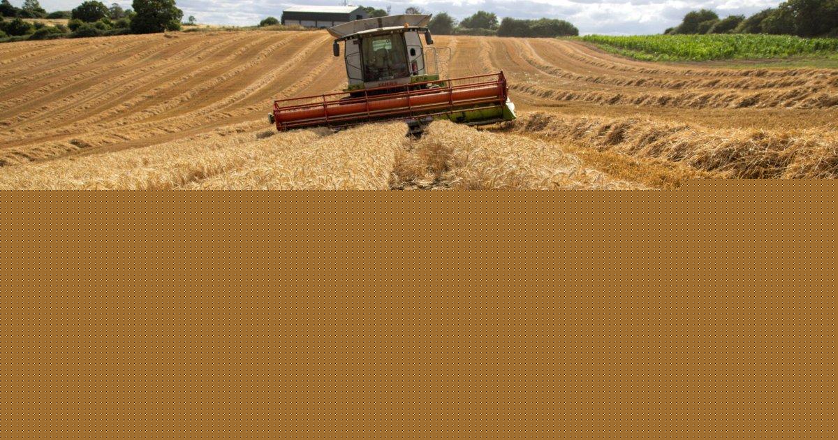 How British farmers are unwittingly funding Putin’s war machine