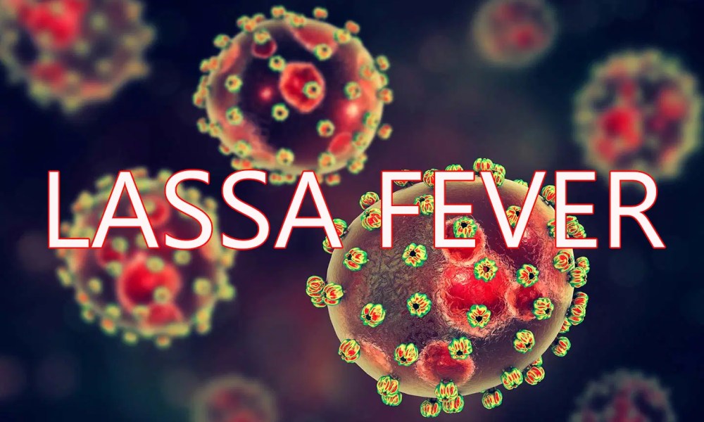 Lassa fever: Nigerian govt confirms 17 dead in eight states