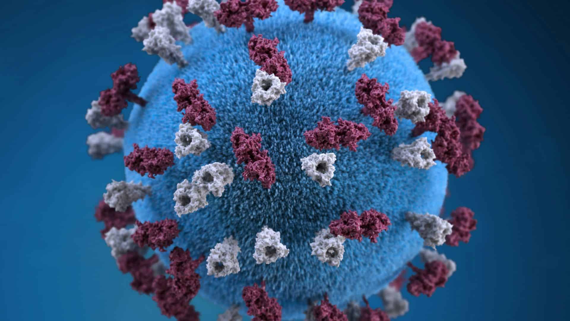 B.C. measles cases rise as Alberta reports first outbreak-related death