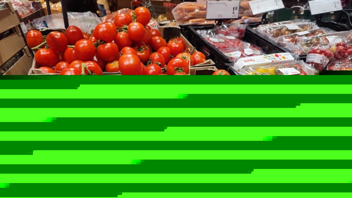 OD 35 PLASTENIKA DO 400 TONA PARADAJZA Kako porodica Kocić iz sela Svirce vodi uspešan biznis na dva hektara zemlje