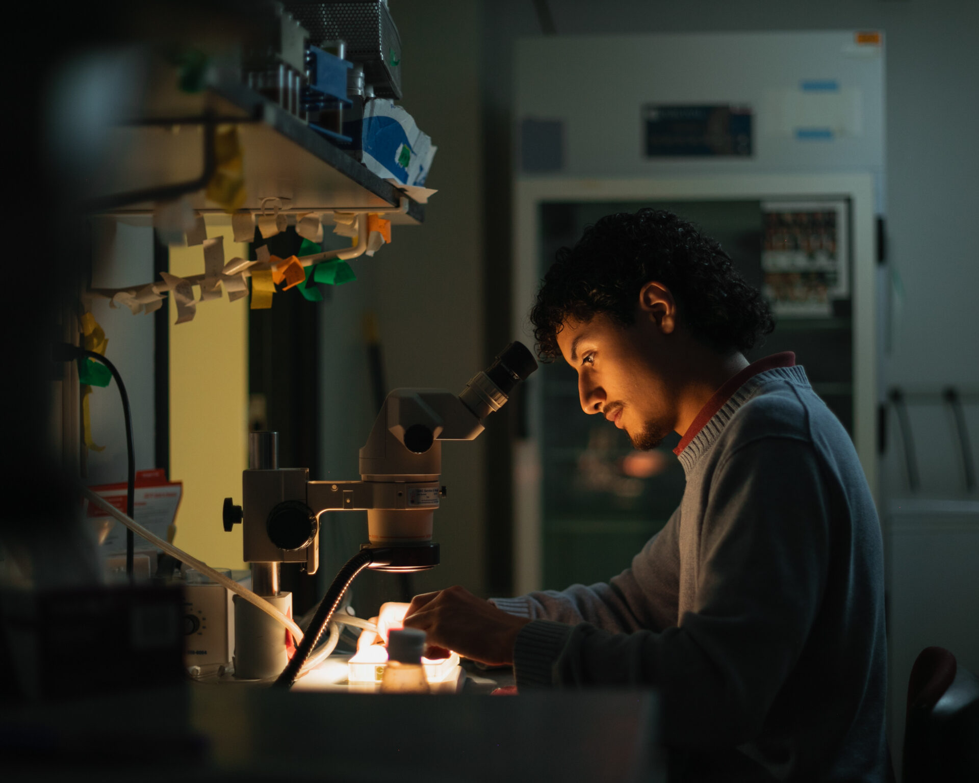 Students and discoveries: Undergraduate research changing lives