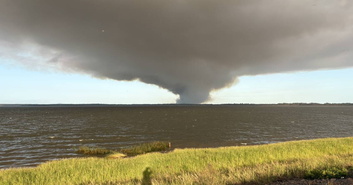 Oyster Cove bushfire burns over 100 hectares at Port Stephens