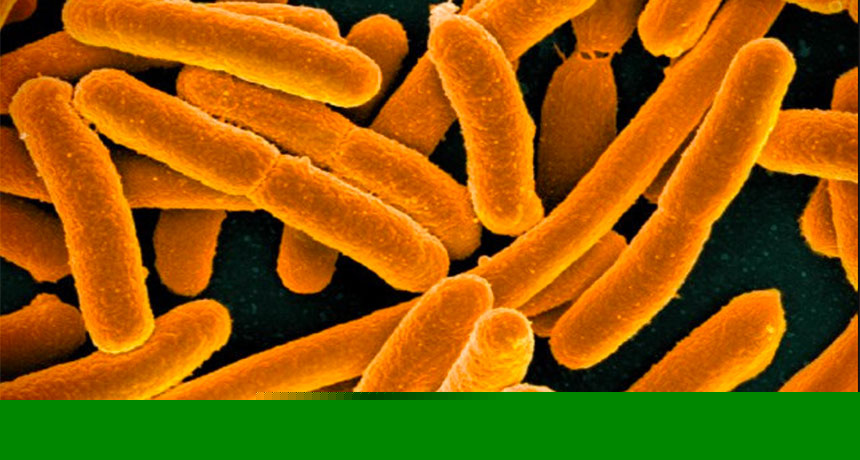 Comment on Tiny toxic proteins help gut bacteria defeat rivals by Scientists Say: Microcin | Skeptic Society Magazine