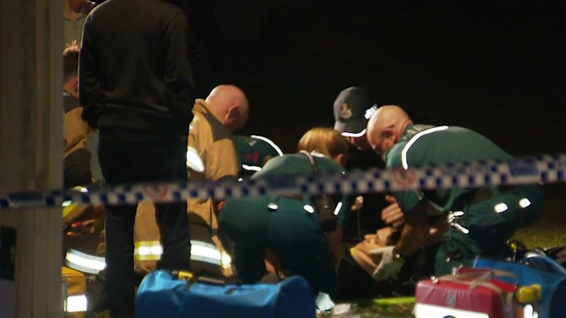 Council defends tree maintenance after freak accident
