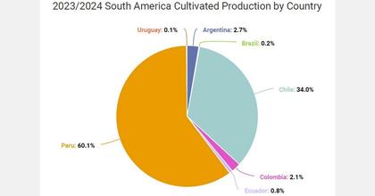 Colombia blueberry imports soar as exports hit 99 tons