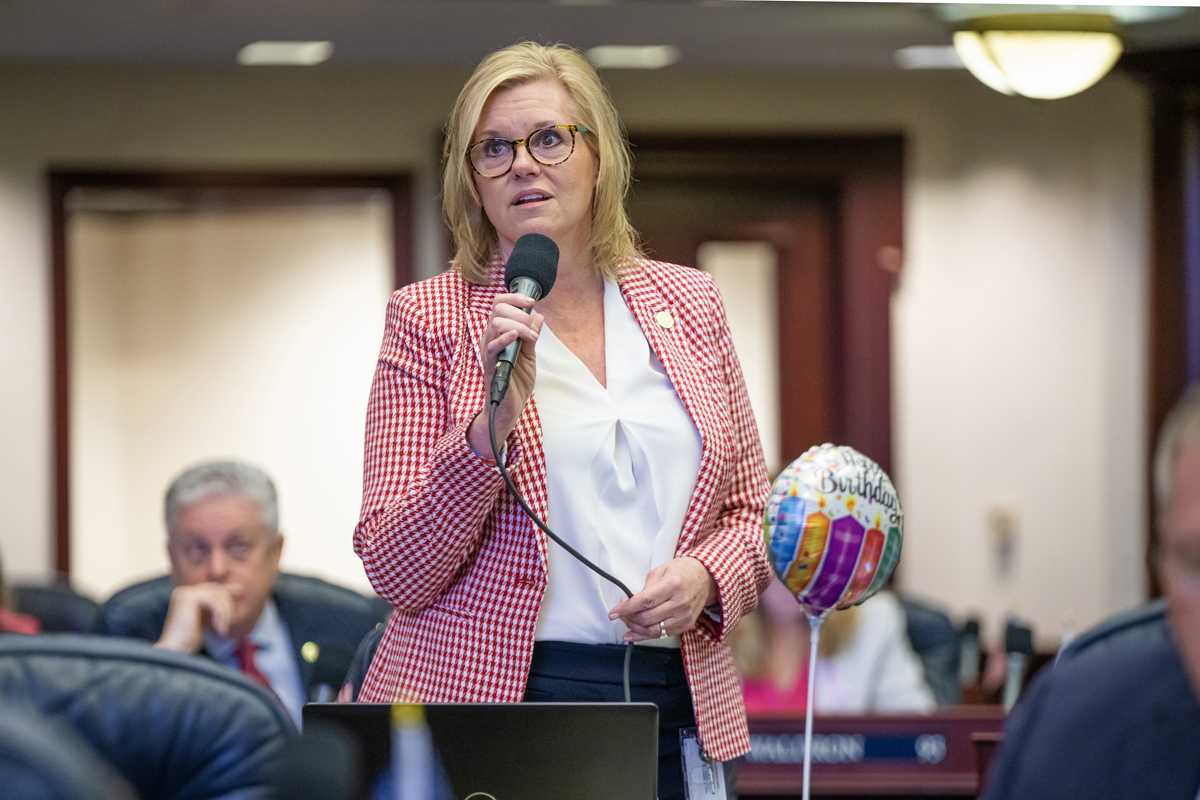 Comment on Sweeping anti-DEI education bill clears second House hurdle after removal of cops-on-campus provision by Florida Man