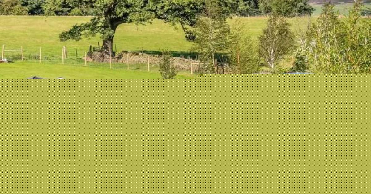 Delight as family-run Bolton Abbey campsite named among the best in the country