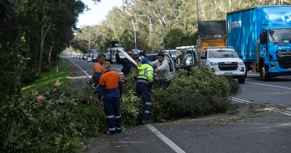 Batten down the hatches: damaging winds up to 90kmh expected