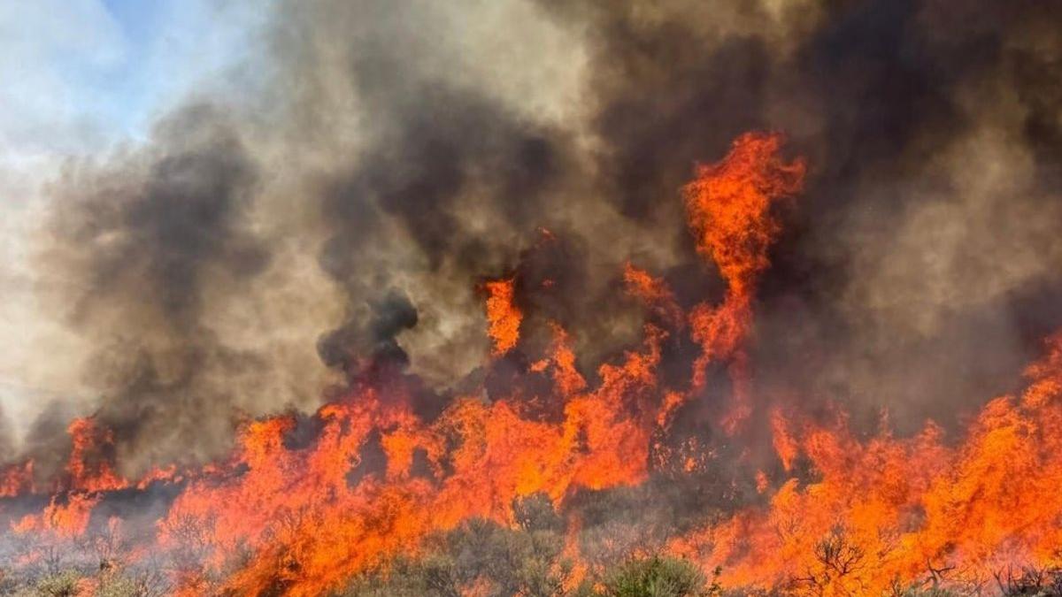 Helicopter carrying two crashes while battling Utah wildfire; Oregon blaze kills bulldozer operator